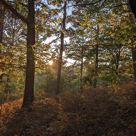 Loblolly Pines Adventure Cabin 4 King Eureka Springs Ngoại thất bức ảnh